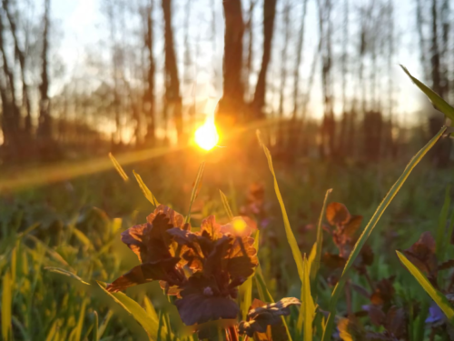 Найбільша сміливість – бути собою