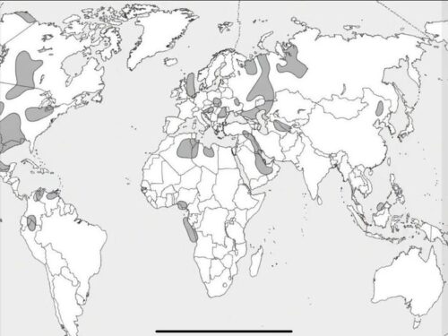 Шістнадцятий день війни у Перській Затоці
